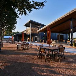Texas Wine Tours in the Hill Country